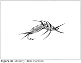 STONEFLY (BOB CORMIER)