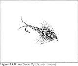 ​THE BROWN STONE FLY (JACQUES JUNEAU)