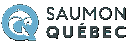 Saumon Québec, site sur la pêche au saumon